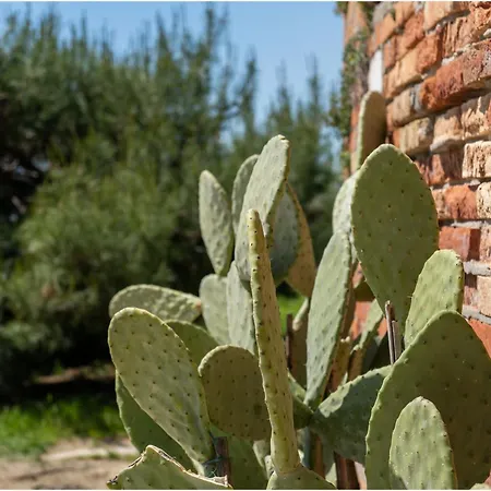 Tiffany Gold Ferienhaus